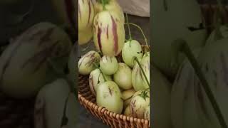 Pepino melon 🍈 at homedelicious satisfying yummy shortvideo [upl. by Akit]