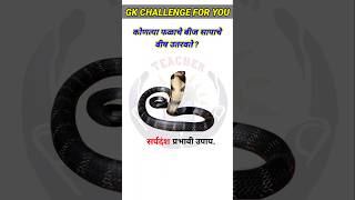 Top 20 GK Questions🤔💥  GK Questions ✍️  GK Question And Answer brgkstudy gkinmarathi gkfacts [upl. by Ainahpets]