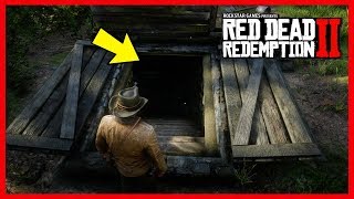 12 Red Dead Redemption 2 Life Hacks You Need To Know [upl. by Artima]