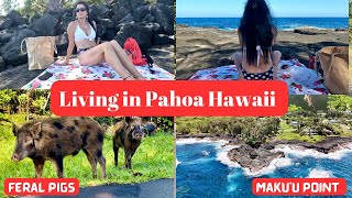 Life in Pahoa Hawaii VLOG  Maku’u Point HPP  Sunrise  Feeding Birds Aerial Drone Videos [upl. by Nylirrej464]