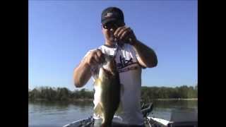 Potomac River April  bass fishing [upl. by Oconnor]