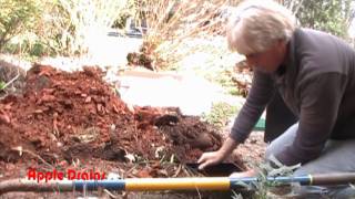 How to Install a Catch Basin by Apple Drains [upl. by Anovad]