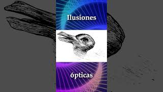 Ilusiones Ópticas 5 Explicado shorts ilusionoptica [upl. by Lurline]