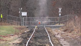 Abandoned railroad being restored  CNZR Armory Branch  12024 [upl. by Sheedy]