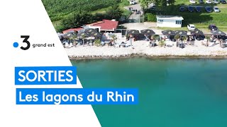 Sorties  baignade dans les lagons du Rhin [upl. by Tomkin]