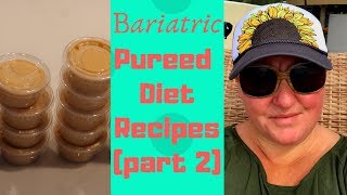 Pureed Diet Recipes Part Two  Bariatric Diet Options [upl. by Noni]