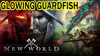 Where To Catch Glowing Guardfish In New World Amazons New MMO  Legendary Fishing Guide [upl. by Ynaffat]