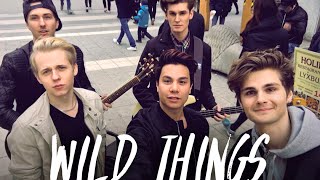 Alessia Cara  Wild Things Cover by Beside The Bridge [upl. by Averil]