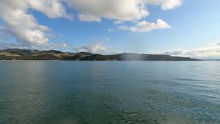 202409 The Dolphinsin Kawakawa bay  Jet Ski fishing New Zealand [upl. by Orlando]