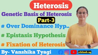 Over Dominance Epistasis and Fixation of Hypothesis Heterosis Part3 [upl. by Halullat]