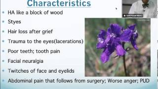 Staphysagria Homeopathic Medicine Tips For Beginners [upl. by Yahsel]