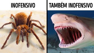 14 Animais Assustadores Mas Não Perigosos [upl. by Rorie]