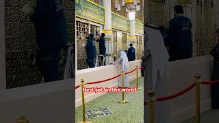 Best job in the World madina muslim islam ytshorts trendingshorts [upl. by Elyrad156]