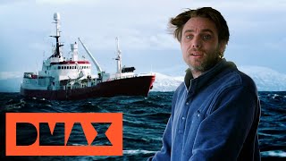 Der kolossale Königskrabbenfang  Fang des Lebens Abenteuer in Norwegen  DMAX Deutschland [upl. by Aihsekal]