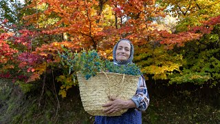 The ‌Best Taste of Autumn  Picking Organic Zalzalak 🍂 [upl. by Michaelina]