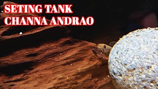 Seting Tank Channa Andrao  Simple Setup Channa Andrao [upl. by Nolubez]