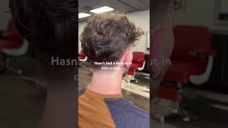 Curly hair taper fade haircut curlyhair taperfade haircuttransformation [upl. by Nnaitsirk]