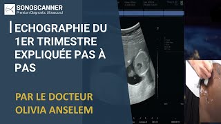 Webinar Sonoscanner Echographie du 1er trimestre expliquée pas à pas [upl. by Florin]