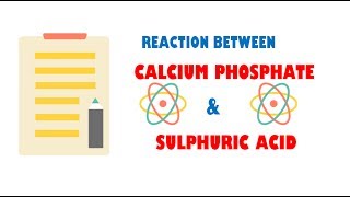 Calcium Phosphate and Sulphuric Acid  Reaction [upl. by Eessej551]