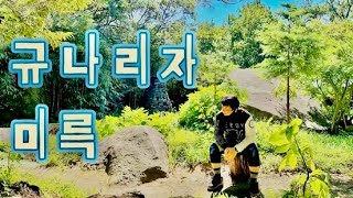 부산 MTB 코스 미륵 R규나리자 [upl. by Polivy]