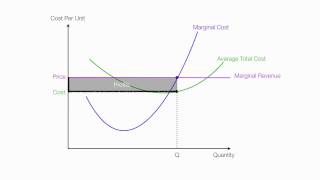 Introduction to Perfect Competition [upl. by Lesly]