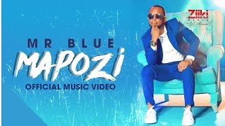 MAPOZI  MR BLUE  Official Video [upl. by Aicissej949]