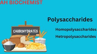 Polysaccharides structure and classification Glycogen  Cellulose Starch Amylose and Amylopectin [upl. by Alena788]