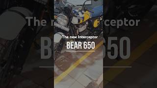 The all new interceptor Bear 650 automobile bear650 interceptorbear650 motorcycle offroad [upl. by Arrekahs]