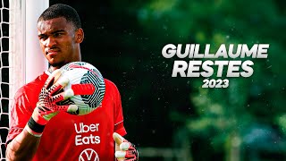 Guillaume Restes  World Class Potential [upl. by Aketal]