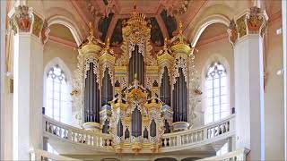 JSBachChristoph Bossert  Fantasia C Dur BWV 573 [upl. by Barvick]