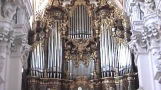 The Largest Cathedral Organ [upl. by Aciram]