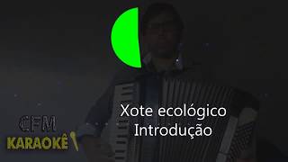 XOTE ECOLÓGICO  KARAOKÊ COMPLETO  VERSÃO ACÚSTICA [upl. by Alehs]