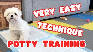 POTTY TRAIN A PUPPY  DOG POTTY TRAINING GUIDE [upl. by Annirtak]