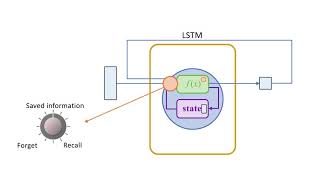 AQA A Level Psychology  Memory  Coding capacity and duration of memory [upl. by Shimkus856]