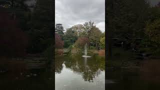 Germany  Bad Honnef schorts europe autumn nature travel 2024 relaxing vibes [upl. by Nostets]