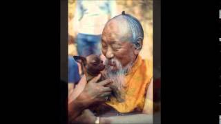 Vajrassattva mantra by Chagdud Tulku Rinpoche [upl. by Lennod]