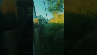 එනවද රවුමක් යන්න 🚆🚊🌿🪻🍃viralvideo train nature [upl. by Endaira]