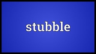 Stubble Meaning [upl. by Keiryt]