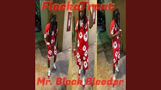 Mr Block Bleeder [upl. by Starlin]