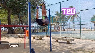 Apprendre le T2B Toes to Bar Crossfit [upl. by Deck535]