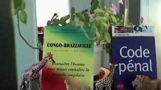 L’IDEE DE GRANDS ELECTEURS EQUITABLES NORDSUD APRES SASSOU NGUESSO ET POURQUOI ET APRES [upl. by Burn]