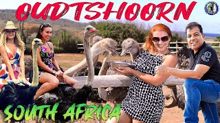 South Africa Oudtshoorn part 4 Ostrich Capital of the World Scenic Drive CapeTown to Oudtshoorn [upl. by Ardath]