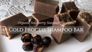 Homemade Natural Shampoo Bar with Organic Soapberry Soap Nut Shampoo  Shampo Lerak Alami [upl. by Yttig]