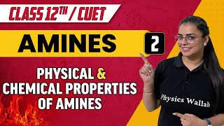 Amines 02  Physical amp Chemical properties of Amines  Class 12thCUET [upl. by Esinyt]