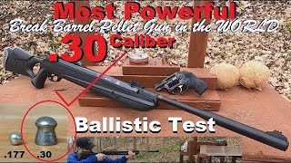 Most POWERFUL Break Barrel Pellet Gun in the WORLD  Ballistic Test  Does it RIVAL a REAL FIREARM [upl. by Ariaic]