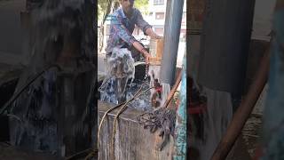 Submersible Pump 15 HP amp 1 HP Texmo Taro No Load Testing shorts youtubeshorts viral pradeep [upl. by Crudden581]