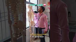 HAPLAB anatomy lab Human skelton skeletonsystem gpcsasaram gpisasaram pharmacy gnm anm [upl. by Nohpets243]