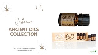 Galbanum Essential Oil  doTERRAs Ancient Oil Collection [upl. by Schroer]