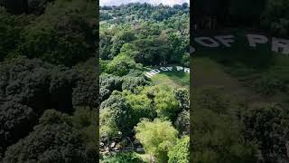 Davao city shortvideo davaocity travel dji farming [upl. by Matta]