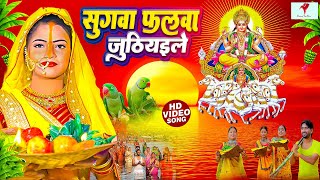 छठ पुजा व्रत गीत  सुगवा फलवा जूठियले  Janvi Tiwari Bhojpuri Chhath Geet 2024 [upl. by Chainey]